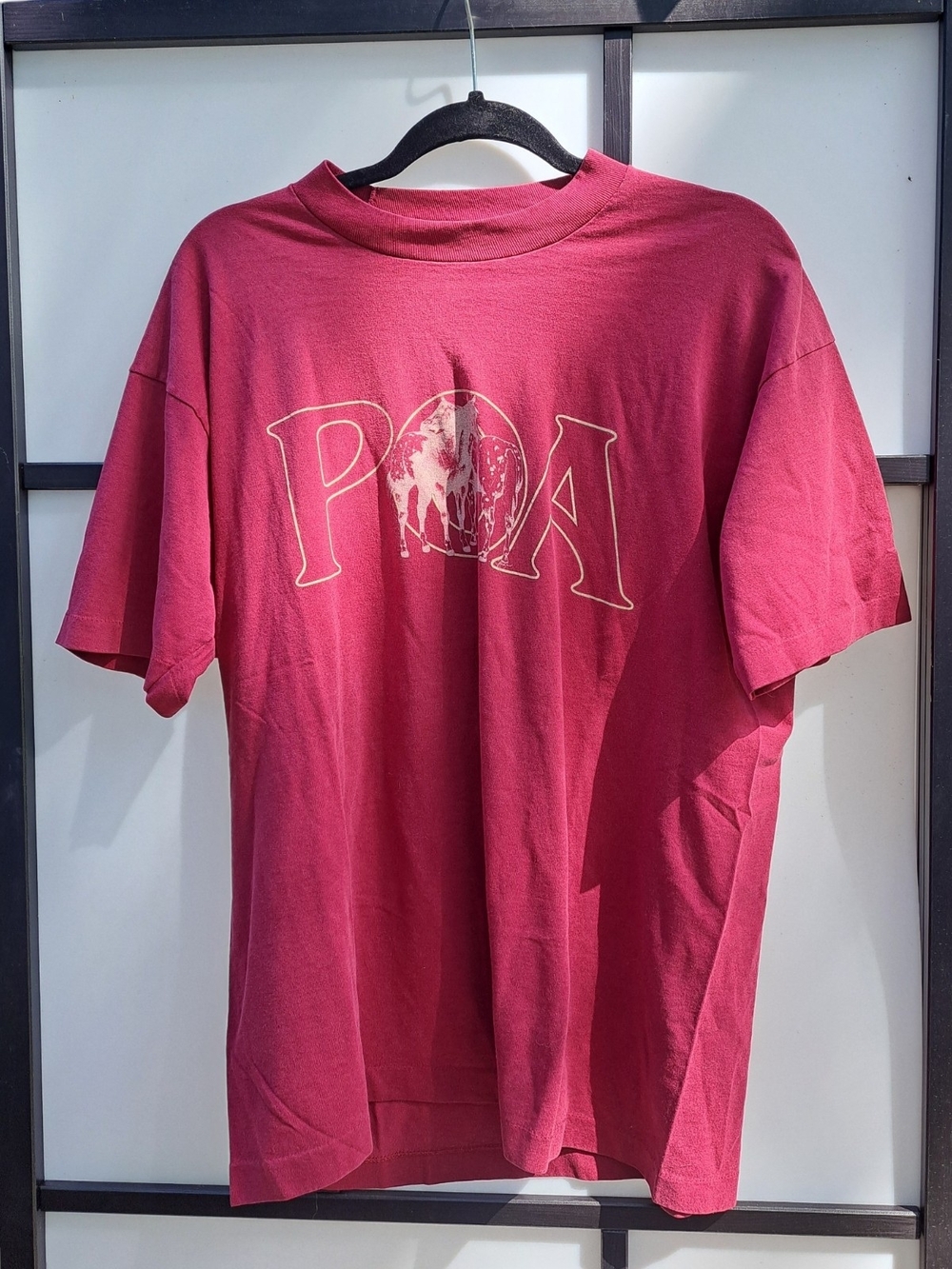 Fruit of the Loom Vintage 90s Single Stitch Short-Sleeve Graphic Tee Size XL
